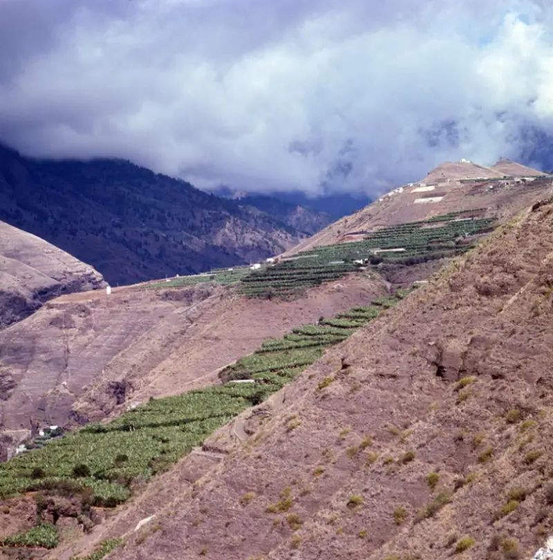 Barranco de Las Angustias.